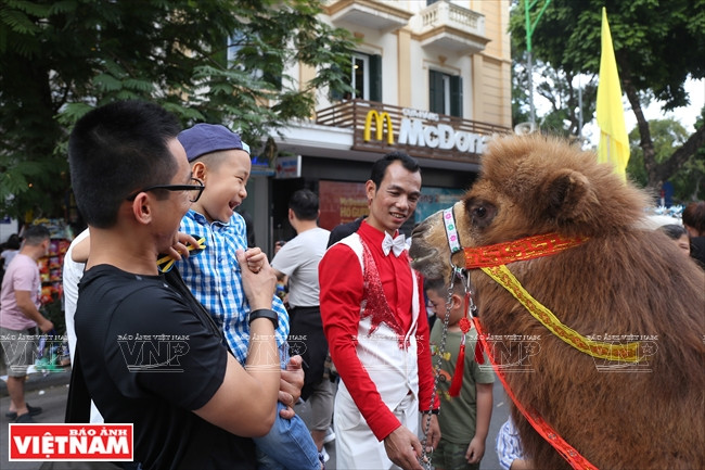 Animal circus performance attracts children (Photo:VNA)