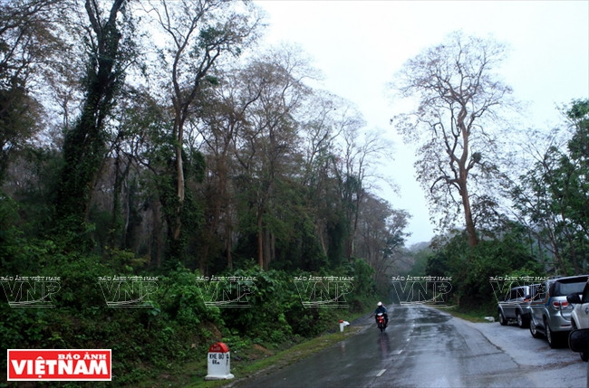 Pu Mat National Park is an attractive ecotourism destination for visitors with its rich and diverse wild flora and fauna (Photo: VNA)
