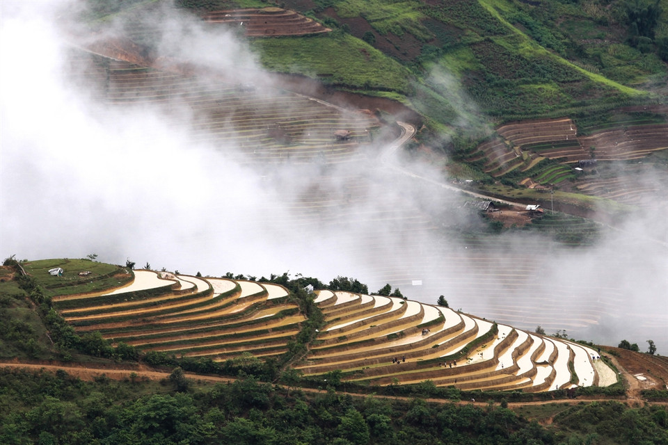 Mong ethnic people work at the terraced rice field in Lim Mong village, Cao Pha commune. (Photo: VNA)