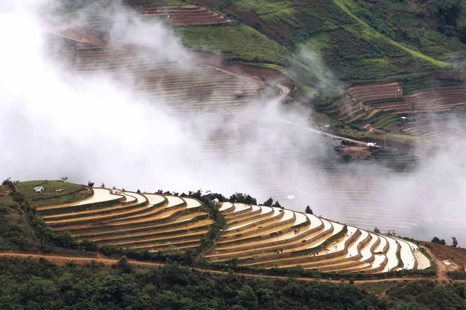 Mong ethnic people work at the terraced rice field in Lim Mong village, Cao Pha commune. (Photo: VNA)