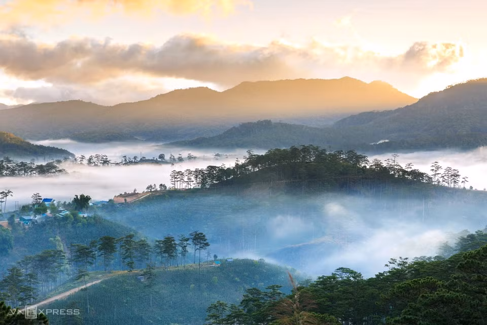 Lying 1,400 metres above the sea level, Langbiang plateau in Da Lat is surrounded by high mountains, green pine forests and fresh air, making it an ideal habitat for rare birds. (Photo: vnexpress.net)