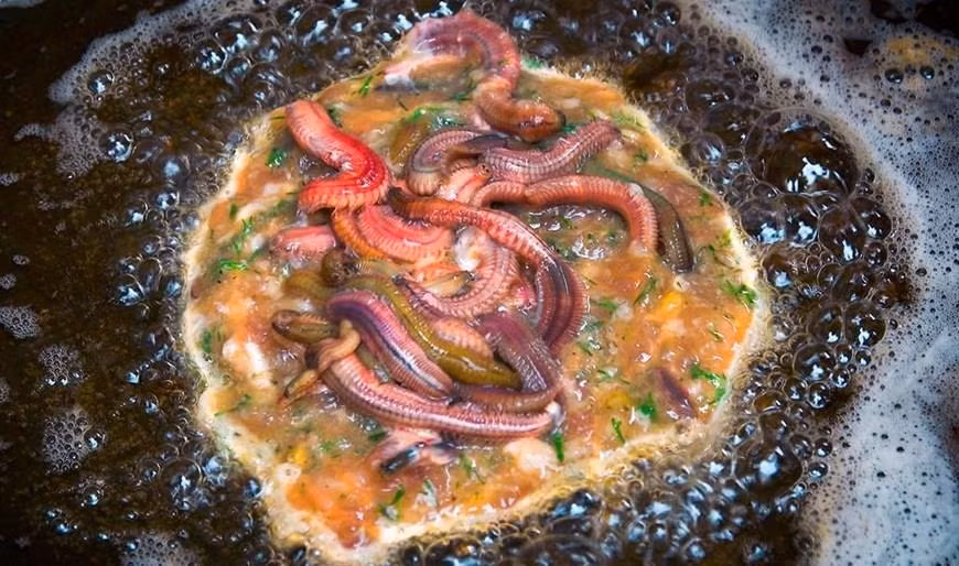 Sand worm omelette with eggs, tangerine zest and an inevitable ingredient of worms (Photo: VNA)