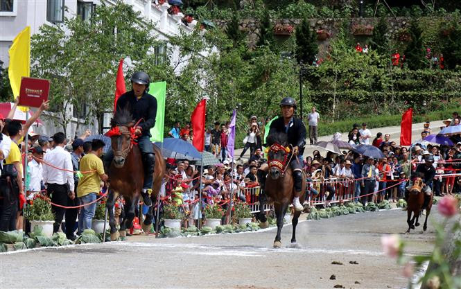 The horse race takes place from June 21 to 23 (Photo: VNA)