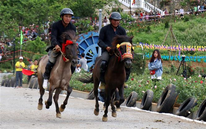 A total of 16 jockeys from the Mong, Tay, and Nung ethnic minorities in Lao Cai province compete in the event (Photo: VNA)