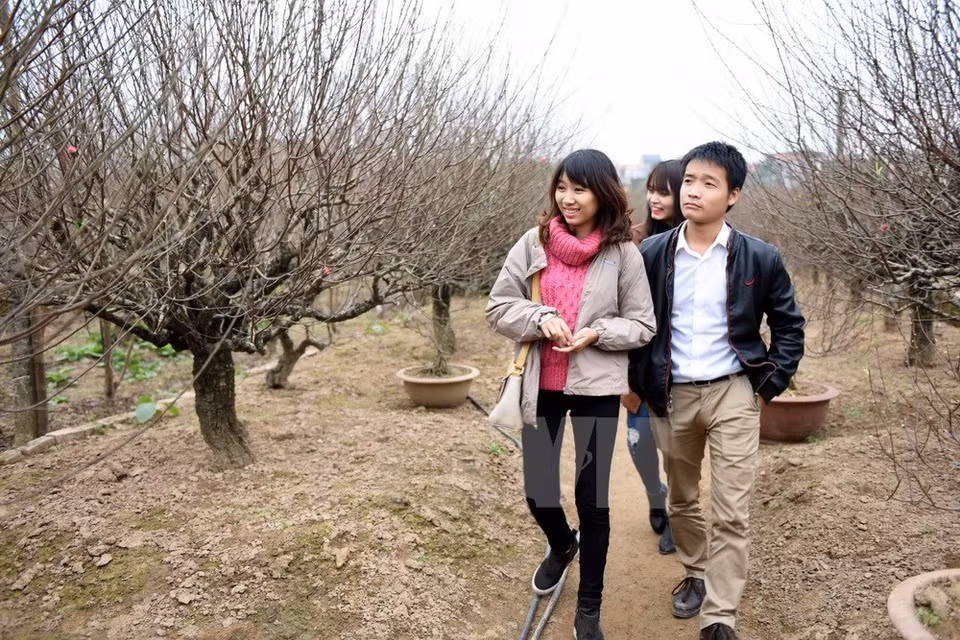 Hanoian youngsters visit a peach blosssom tree garden (Source: VNA)
