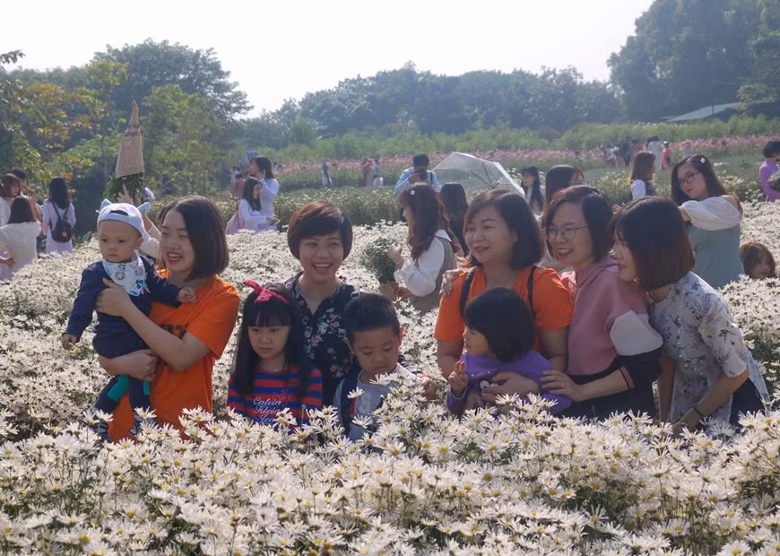  Flower gardens on the Red River’s bank often welcome 500-1,000 people per day. Entrance fees range between 50,000-70,000 VND (Photo:VNA)