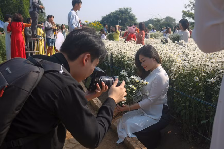 Taking pictures with ox-eye daisies has become a trend, especially among young people (Photo:VNA)