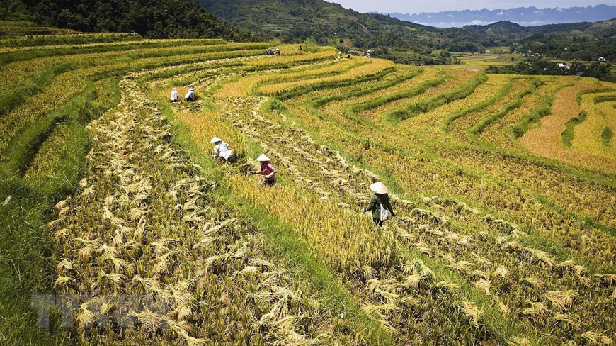 Thach Yen mountainous commune is a disadvantaged locality in Cao Phong district. It boats favorable climate and land conditions for agricultural development with stretching terraced fields. Along with many other resources, the community has potential to develop eco, historical-spiritual and community based tourism (Photo: VNA)