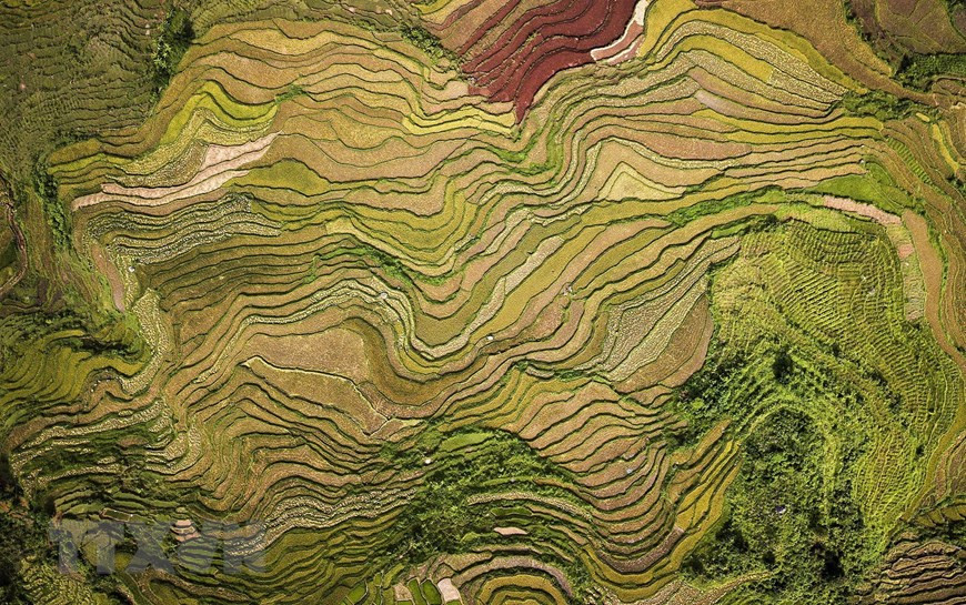 The beauty of terraced rice fields in Thach Yen commune, Cao Phong district viewed from above is like a mosaic picture on the ground (Photo: VNA)
