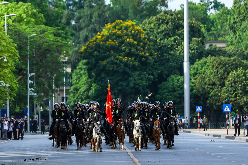 The horses belong to the Cavalry Mobile Police Corps, under the Mobile Police Command, the Ministry of Public Security and are trained in Thai Nguyen (Photo: VietnamPlus)