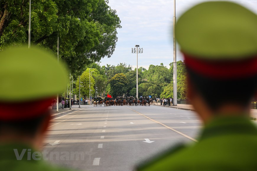 More than 60 horses are domesticated for marching or performing (Photo: VietnamPlus)