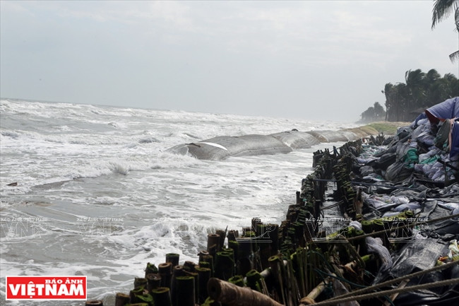 The sea is eating away Cua Dai Beach.(Source: VNA)