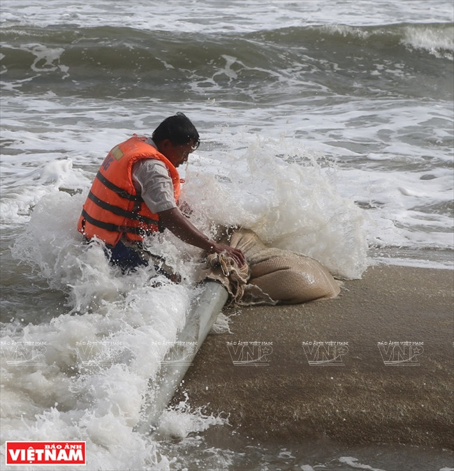 Pumping sand into Geotextile-bags on Cua Dai Beach (Source: VNA)