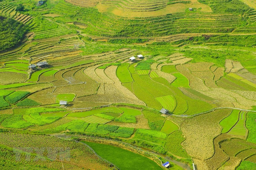 Terraced rice fields in the Northwestern region (Photo: VNA)