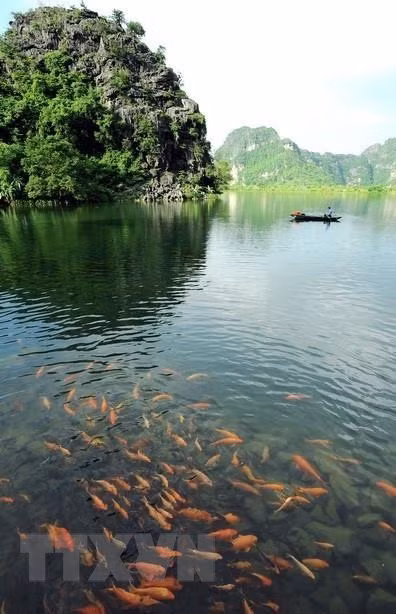The picturesque landscape of Trang An is a harmonious combination of mountains, valleys, and a system of lakes (Photo: VNA)