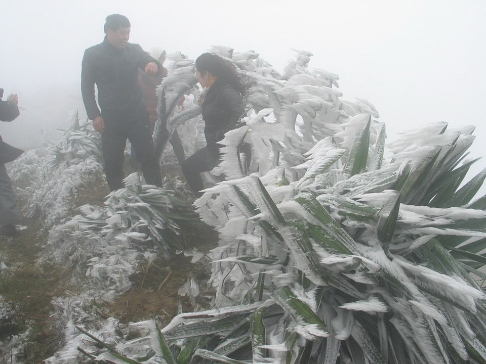 Heavy frost on Mau Son top attracts tourists. (Photo: VNA)