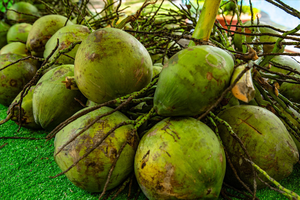 Aside from refreshing coconut water, Ben Tre’s coconut production offers an array of other products, including candy, beverages, and canned foods made from coconuts. (Photo: VNA)