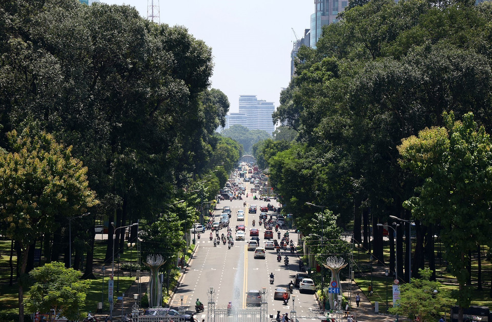 Tree-lined Le Duan Boulevard is one of the most beautiful thoroughfares in the centre of Ho Chi Minh City. (Photo: VNA)