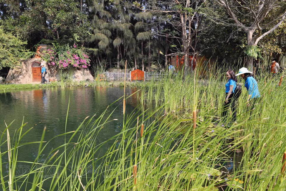 The surroundings are kept intact with minimal impact from human activities, to give visitors the most vivid experience possible. (Photo: VNP/VNA)