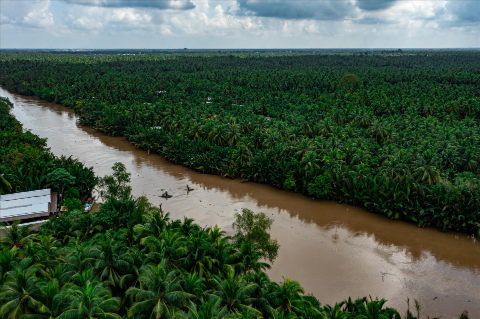 The Mekong Delta province of Ben Tre is known as Vietnam’s coconut capital, with the largest and oldest coconut farming area. (Photo: VNA)