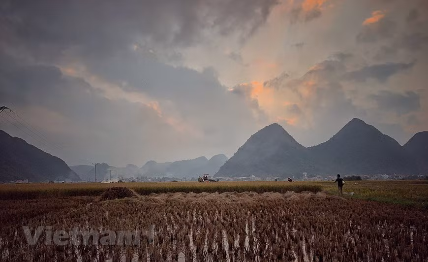 Sunset is gradually blanketing rice fields in Lai Chau highlands. Smoke from haystacks together with mist create a peaceful countryside scene. (Photo: VNA)
