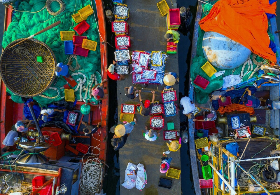 A scene of transporting seafood at about 6am at Duy Hai fishing market, Duy Xuyen district, Quang Nam province. (Photo: Vo Van Viet)