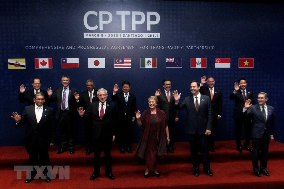 Representatives of member states of the CPTPP trade deal. (Photo: VNA) 
