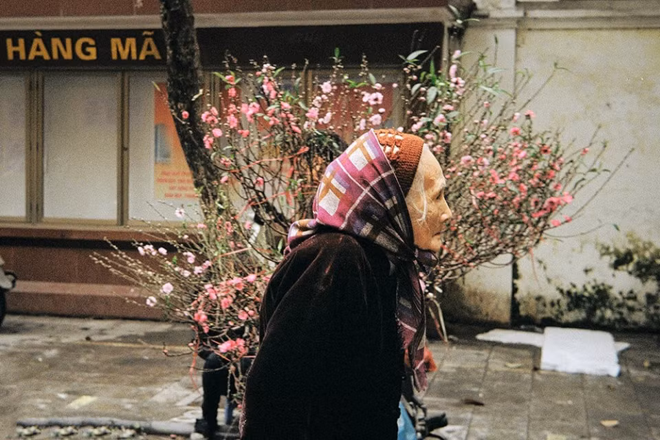 Peach blossoms give the signal that spring comes (Source: Organising board) 
