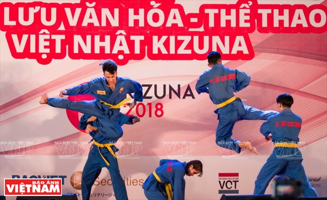 Vietnamese Vovinam martial arts performances at the event (Photo: VNA)