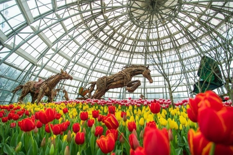 The 1,000-square-metre indoor venue at Vietnam’s biggest botanical park turns into a colourful flower carpet (Photo:VNA)