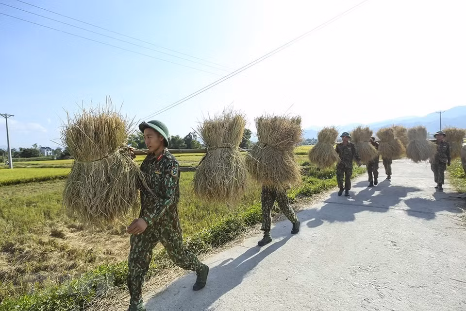 The soldiers’ support helps reduce local people's hardship (Photo: VNA)
