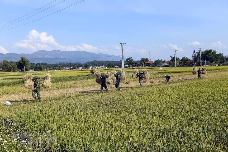 The soldiers’ support helps reduce local people's hardships (Photo: VNA)
