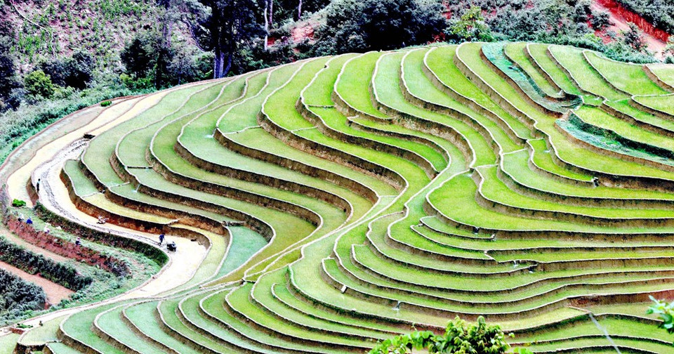 Terraced rice fields in Chieng Muon commune, Muong La district, Son La province (Photo: VNA)