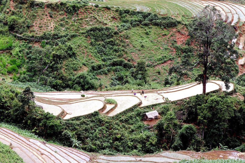 Terraced rice fields in Chieng Muon commune, Muong La district, Son La province (Photo: VNA)