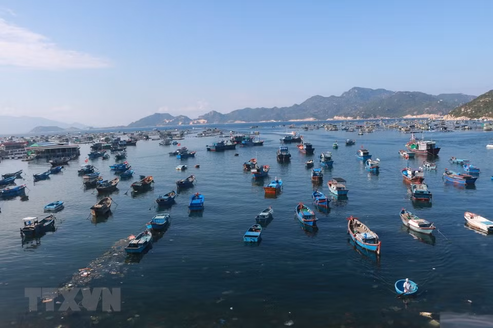 Fishing vessels clinging to island to catch seafood on Binh Ba island (Khanh Hoa) (Photo: VNA)
