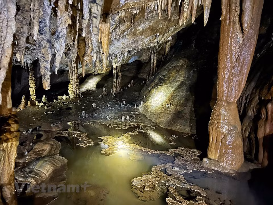 The dangling stalactites are part of the allure for visitors to Nam Son cave in Nam Son commune, Tan Lac district, Hoa Binh province. Trekkers have to weave through the bamboo forest and walk on the only path along the mountainside for some 45 minutes to hike in to the cave. A sudden rain could make the path slippery, a little bit more dangerous than usual when walking on the diverse terrain. Nam Son cave, or Ton cave, was discovered in January 2004 but today it remains untouched. Hoa Binh province will make investment in Nam Son cave relic site, making it a standout tourism product in Tan Lac district in the coming time. (Photo: VietnamPlus)