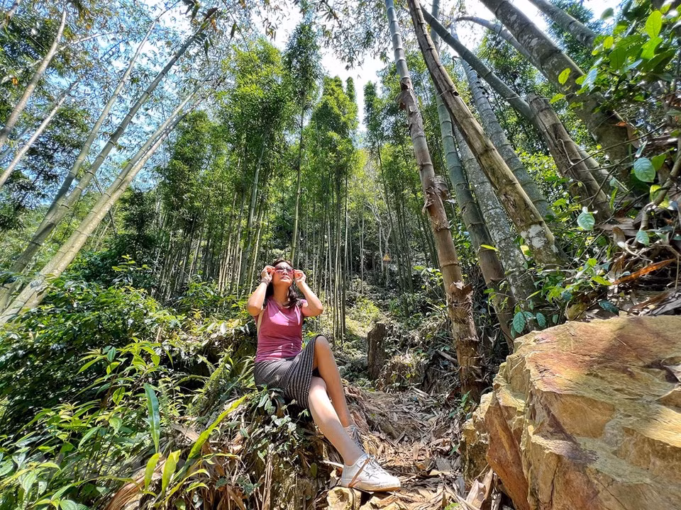 It takes visitors around 45 minutes to walk through a bamboo forest to reach national relic Nam Son cave. For some people, the desire to explore a cave is almost irresistible. It’s another world of traversing underground, full of potential wonders and possible mysteries waiting to be solved. Though Vietnam is renowned for its jaw-dropping cave systems, cave exploration is still new to most Vietnamese people. Actually, cave exploration in the country is stigmatised for the risk it bears, but professional trekkers believe that with the right equipment and training, the activity is not so dangerous. The sport can also be expensive at times because the gear needed to guarantee safety is not widely sold in Vietnam. (Photo: VietnamPlus)