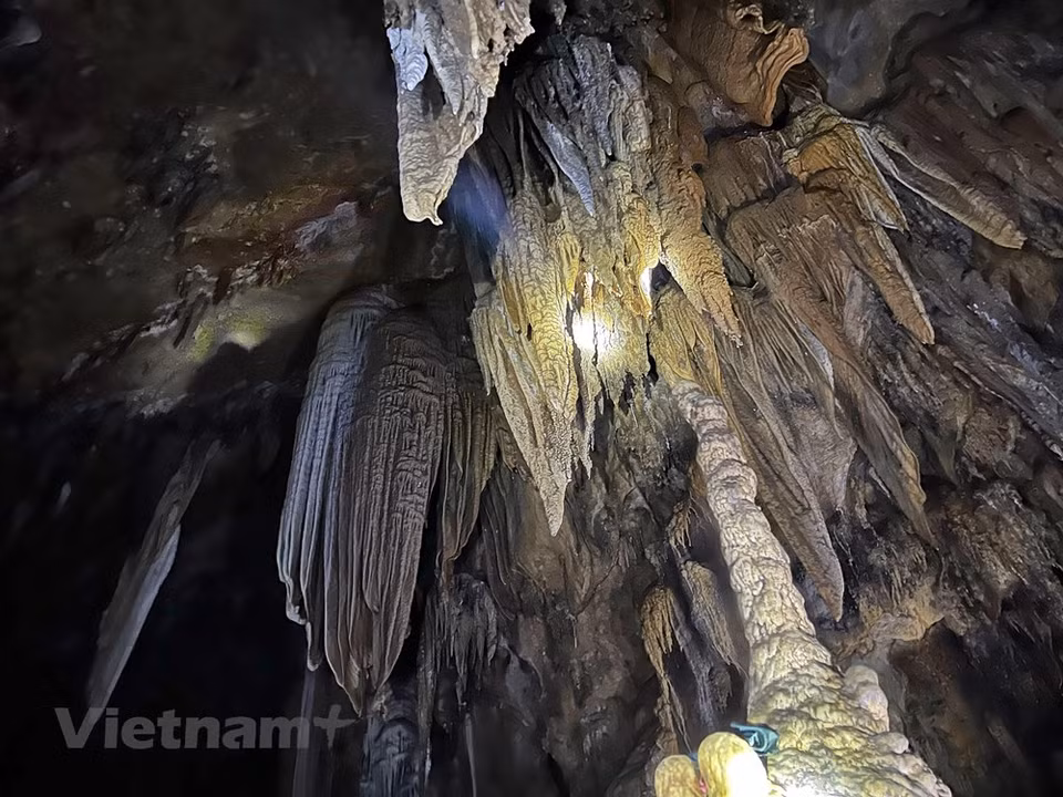 Nam Son cave has the distinct features of staying warm in the winter and cool in the summer. Therefore, visitors can explore the cave anytime of the year. It takes visitors around 45 minutes to walk through a bamboo forest to reach the national relic Nam Son cave. For some people, the desire to explore a cave is almost irresistible. It’s another world of traversing underground, full of potential wonders and possible mysteries waiting to be solved. Nam Son cave, or Ton cave, was discovered in January 2004 but today it remains untouched. The cave was likely formed due to volcanic eruptions and the tectonics of limestone mountains. (Photo: VietnamPlus)