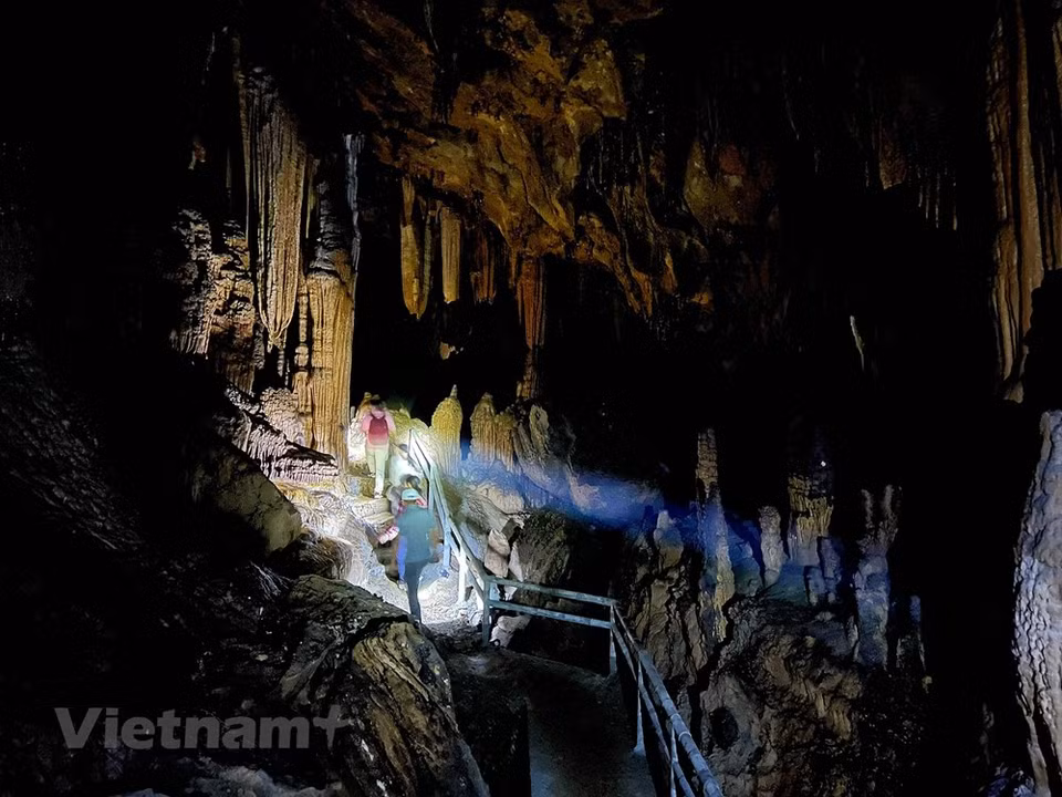 Nam Son Cave was recognised as a national relic site in 2008, four years after it was found. The cave is located in the buffer zone of the Cuc Phuong National Park, and Ngoc Son – Ngo Luong Natural Reserve. Established in 1962, Cuc Phuong is the first and largest nature reserve in Vietnam. The park is located around 120km southwest of Hanoi and nestled in the convergence of three provinces: Ninh Binh, Hoa Binh and Thanh Hoa. Covering an area of 25,000 hectares, the park is a typical tropical rainforest that is home to a diversified system of flora and fauna and contains several highly endangered species. (Photo: VietnamPlus)