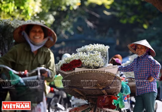 During these days, vendors are riding baskets full of whitish oxeye daisy around Hanoi. (Source: VNA)