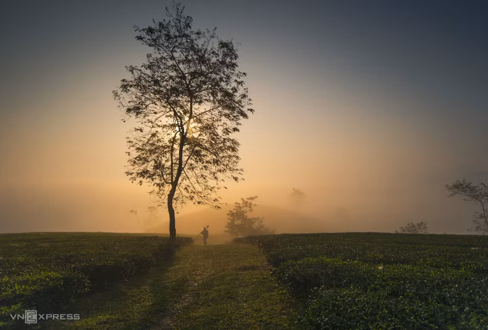 Long Coc is considered as one of the most beautiful tea hills in Vietnam. It is also an ideal place to chill and stay away from the bustle of the city thanks to the tranquility of the hills. (Photo: Vnexpress.net)