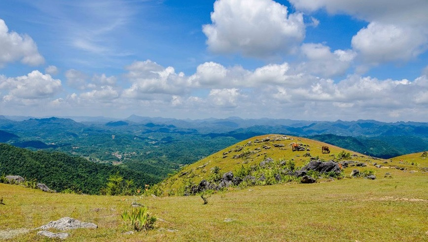 Located in a low mountainous terrain with immense green lawns, Nang Tien Mountain is a suitable place for tourists who love nature and wish to discover its beauty. (Source: VNA) 