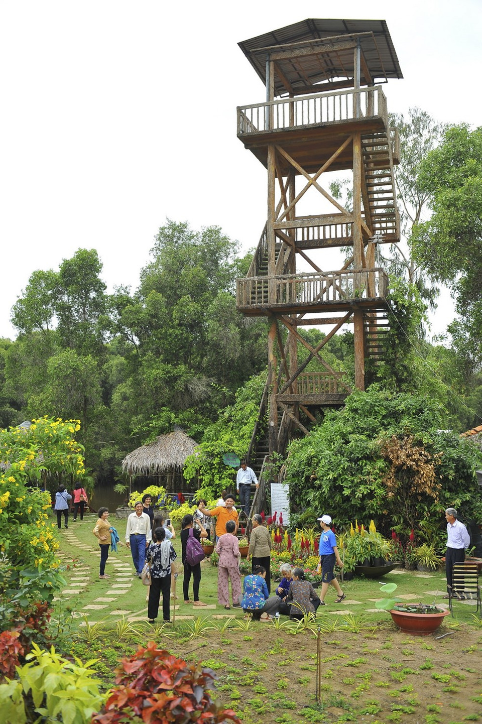 Tourists can have an overview of the forest from the observatory (Source: VNA)