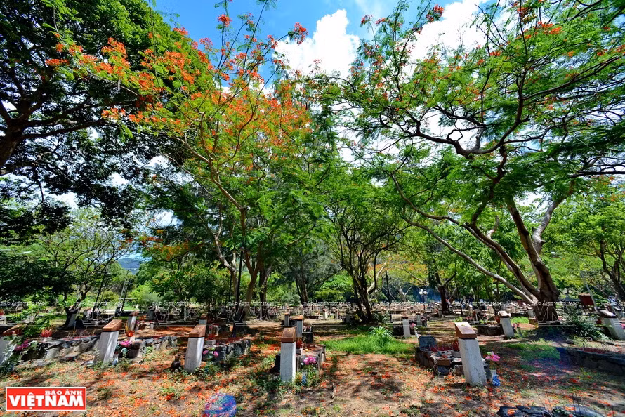 Hang Duong cemetery, a resting place of tens of thousands of revolutionary soldiers imprisoned at Con Dao prison (Photo: VNP/VNA)