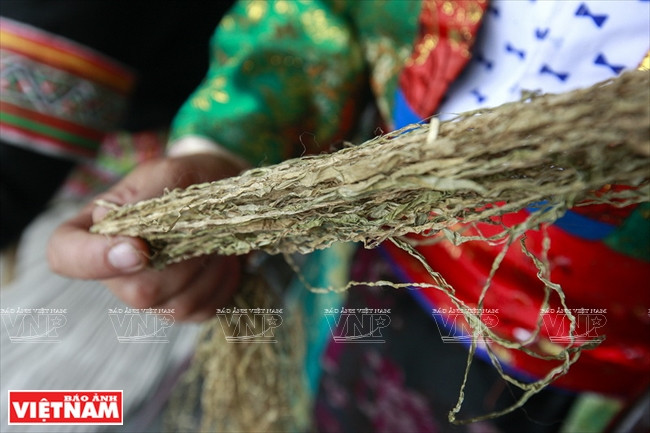 Dried flax plants are used to make threads. (Photo: VNA).