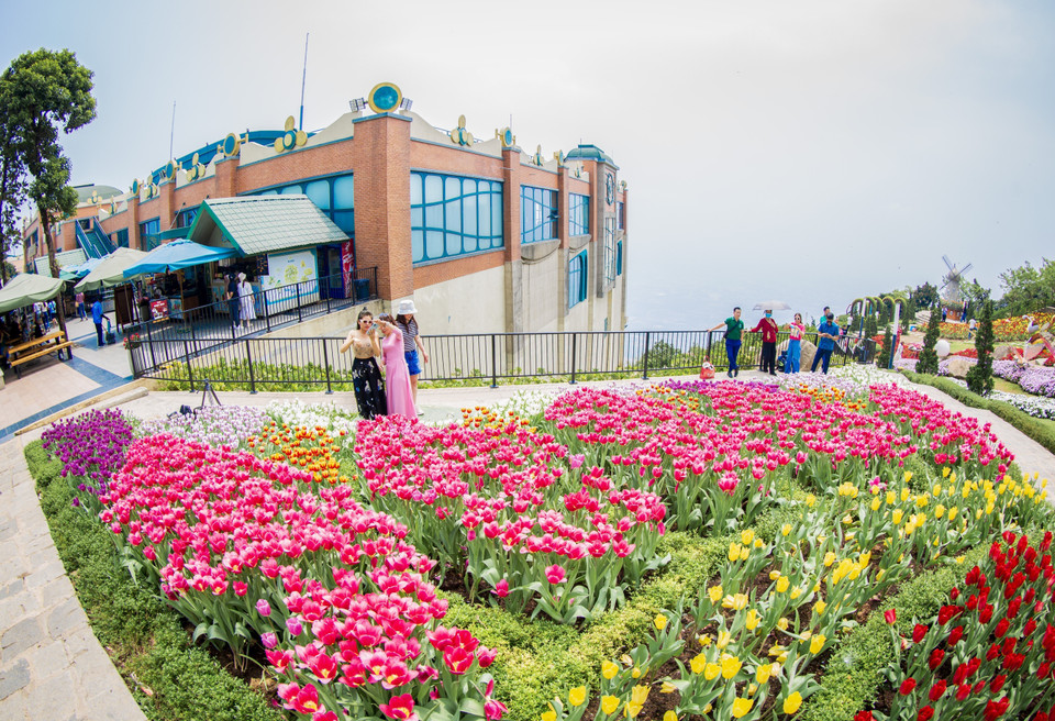 A vibrant flower garden blooming atop the mountain peak attracts tourists. (Photo: VNA)