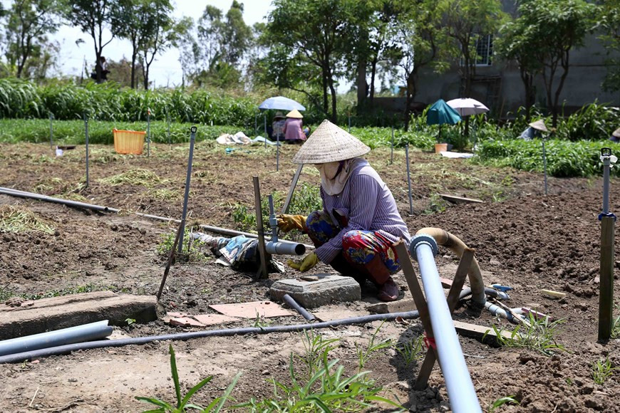 Irrigation works run out of water for many days (Photo: VNA)