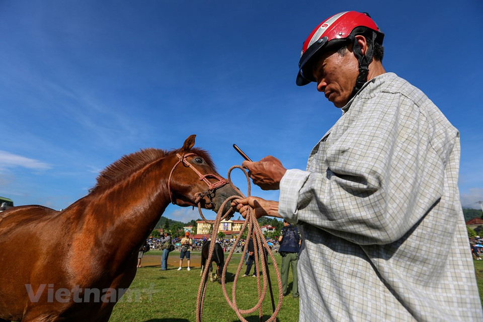The charm of the horse race in Bac Ha is that this is not a race of professional athletes but a race of farmers and racehorses, which are horse horses. On the day of the race, the peasants and the horses temporarily left the fields to go to the racetrack. Moreover, horse riders riding on horseback with no saddle, no foot pedal and only a tie, two iron hooks tied to the rope on both sides of the jaw to control. That rustic and rustic population is a special thing that impresses visitors. Whether it is sunny or rainy, visitors and people in the area never miss an appointment with this unique horse race in Vietnam. (Photo: Vietnam+)