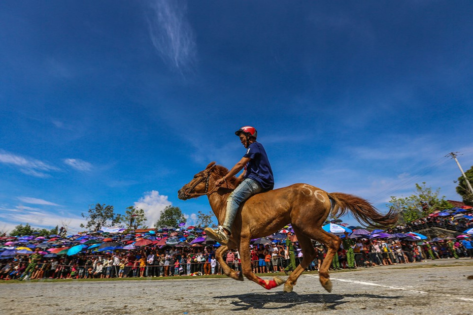 Spectators are treated to spectacular performances where the riders demonstrate their capability and talent for riding horses without saddles or straps. The jockeys and horses are divided into races to determine the fastest performers for the final rounds to compete for the top four positions. The horse racing shows the cultural and spiritual life of local people. Bac Ha traditional horse racing is a unique event in Vietnam. Tourists are extremely impressed when participating in the race is barefoot knights and horse horses. This year’s event is held earlier than previous ones in a bid to lure tourists to the northern mountainous province following the impacts of Covid-19 epidemic. (Photo: Vietnam+)