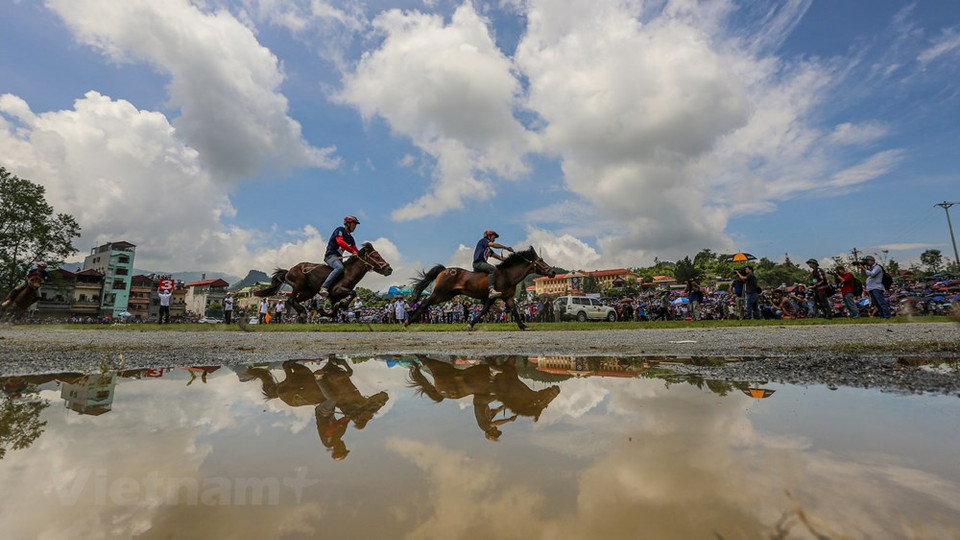 Spectators are treated to spectacular performances where the riders demonstrate their capability and talent for riding horses without saddles or straps. The race of the so-called 'bare-footed knights' and transport horses attract many spectators, including foreigners. Bac Ha and Lao Cai traditional horse racing tournaments are one of the special cultural and sports activities of the ethnic minorities in Bac Ha district in particular and the Northwest highlands in general. Over a long period of hiatus, starting in 2007 the Horse Racing is held annually. What is unique about the Bac Ha race is that the racing horses are usually used to transport goods to the fields on the high and steep mountains. (Photo: Vietnam+)